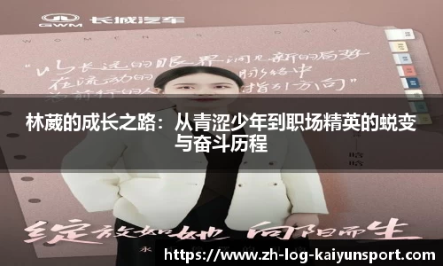 kaiyun登录入口